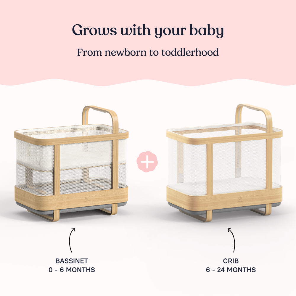 Two Cradlewise setups side by side, showing the bassinet for newborns and a converted crib for older babies from 6 to 24 months.